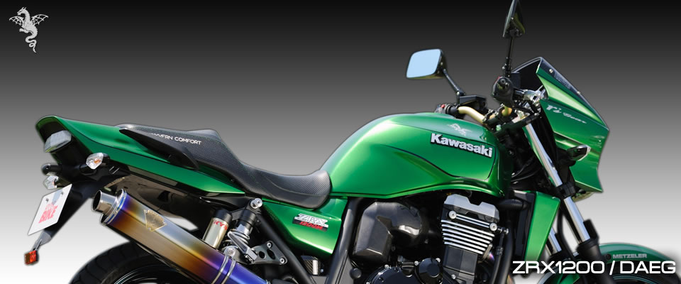 ZRX1200/DAEG